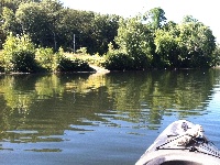 Blackstone River kayak trip Fishing Report