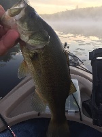 5 am on the pond Fishing Report