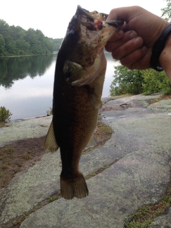 Better pic of the 2.2 from Ashville pond