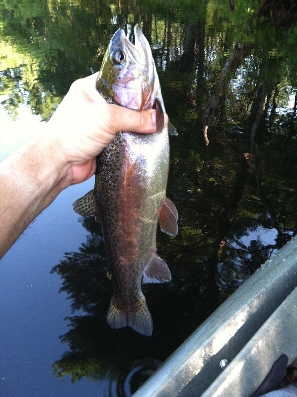 SummerTime Rainbow near Richmond