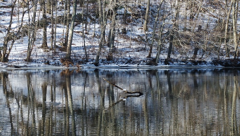 Cumberland fishing photo 3