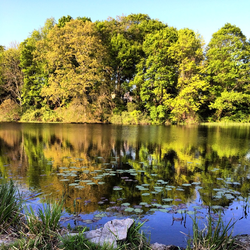 Silver Spring Lake