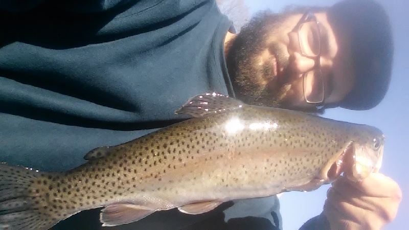 Lincoln woods trout caught with spoon