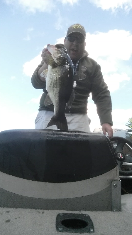 7lb 2oz