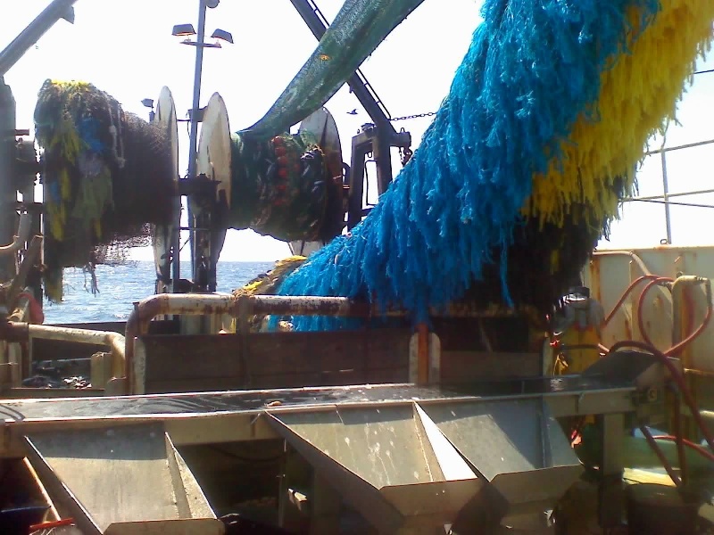 15tons of makeral