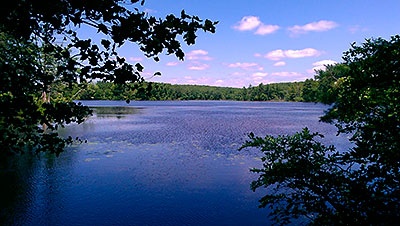 Tillinghast Pond