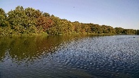 Tillinghas Pond