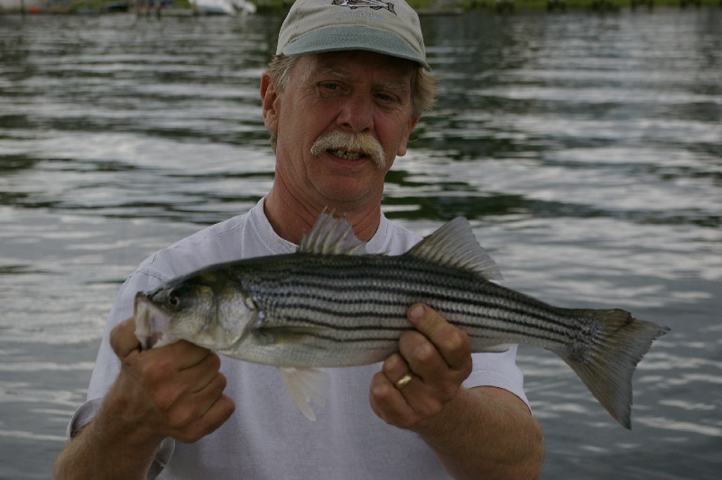 stripers and blues near Warwick