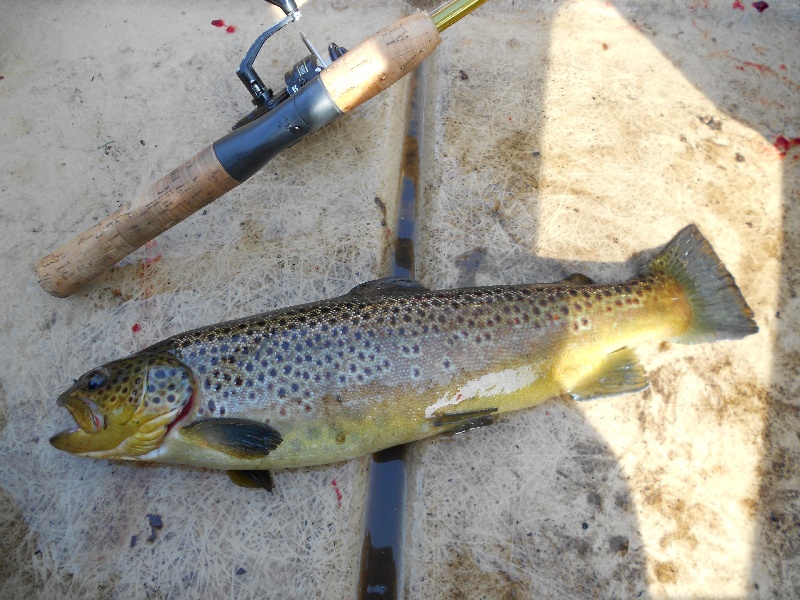 East Greenwich fishing photo 5