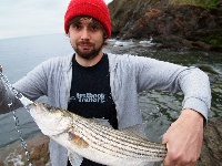 Cliff Walk rocks in Newport Fishing Report