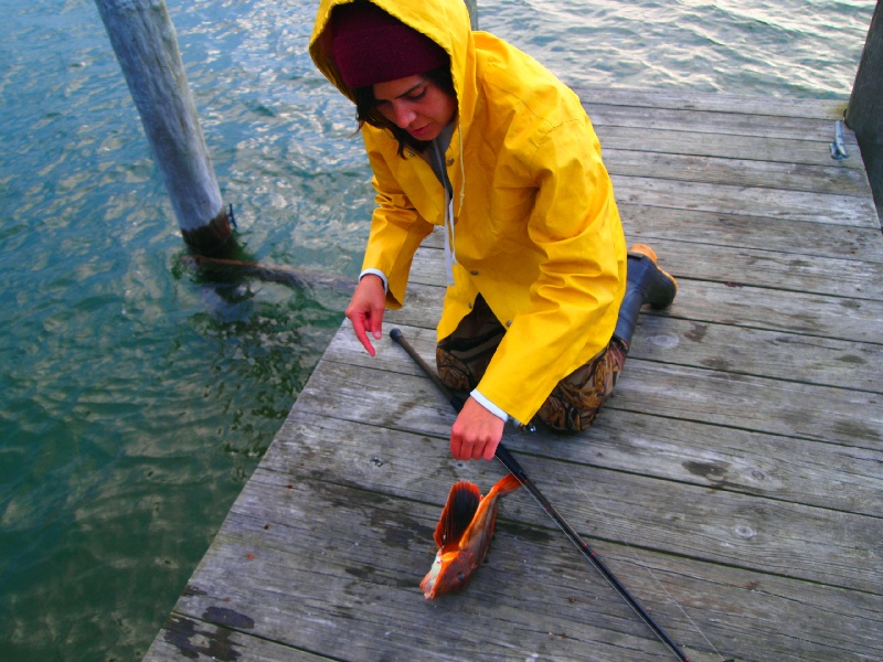 Portsmouth fishing photo 3