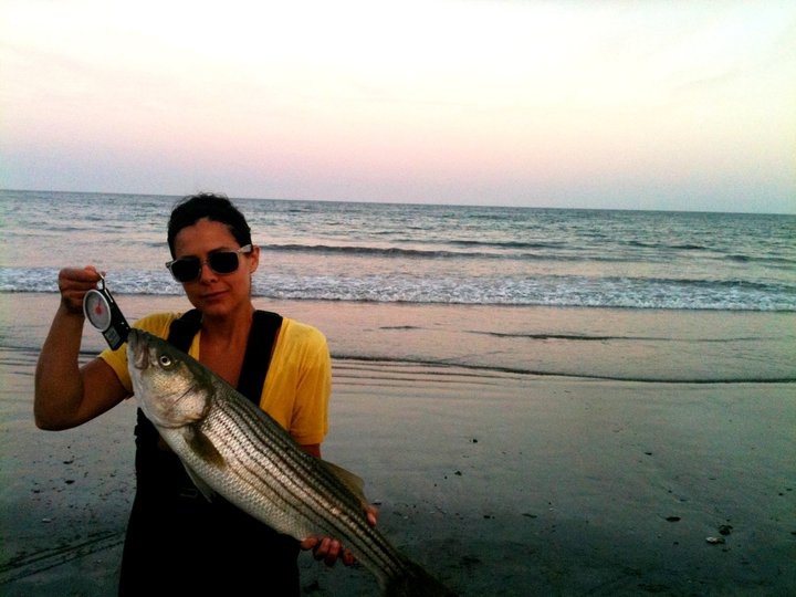 31" Striped Bass near Middletown