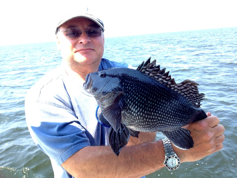 18" Black Sea Bass near Bristol