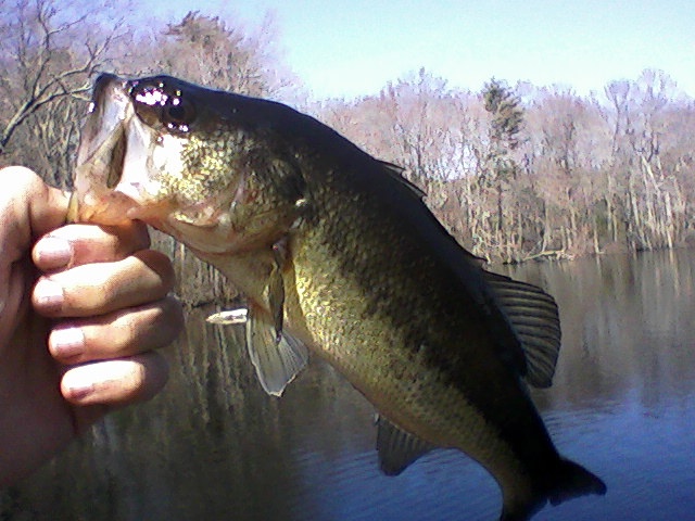 first bass of the year near Warren