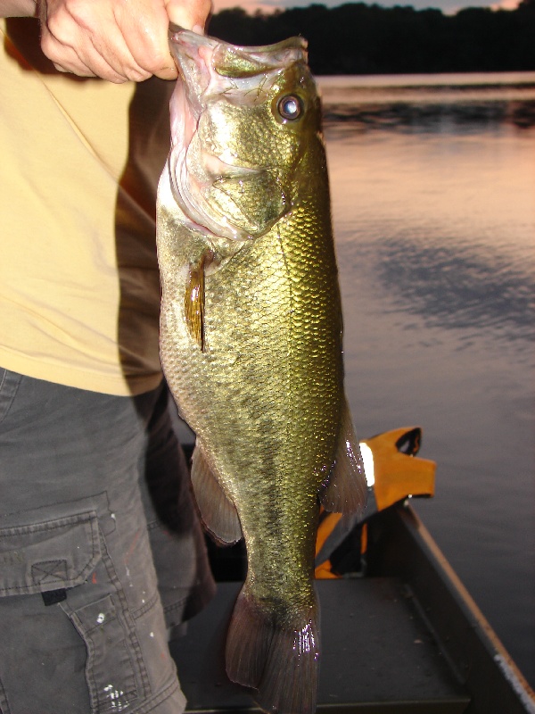 Gorton pond