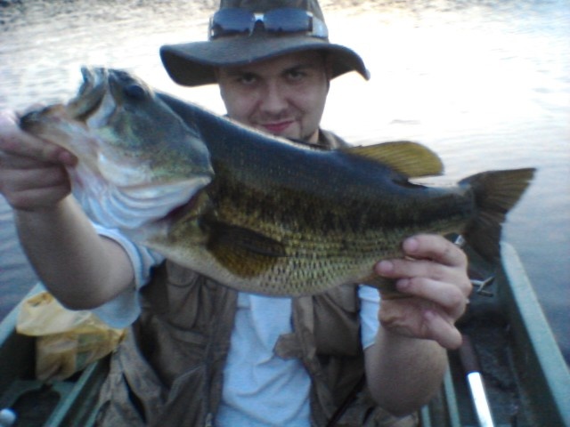 5 lber