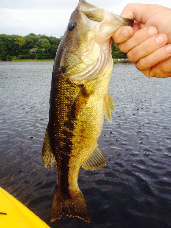 Another wordens Larry on the kayak