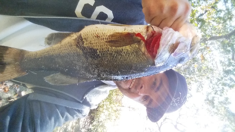 watchaug pond larry with a rusty hook stuck in his gill..