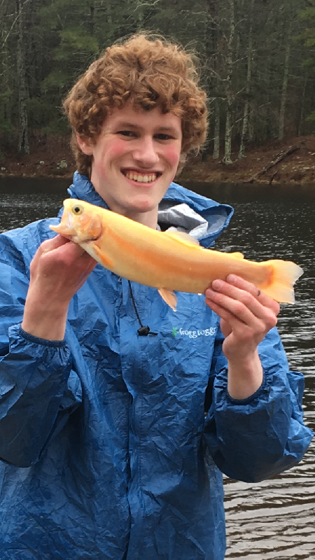 My First Golden Rainbow Trout