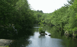 Burrillville fishing photo 1