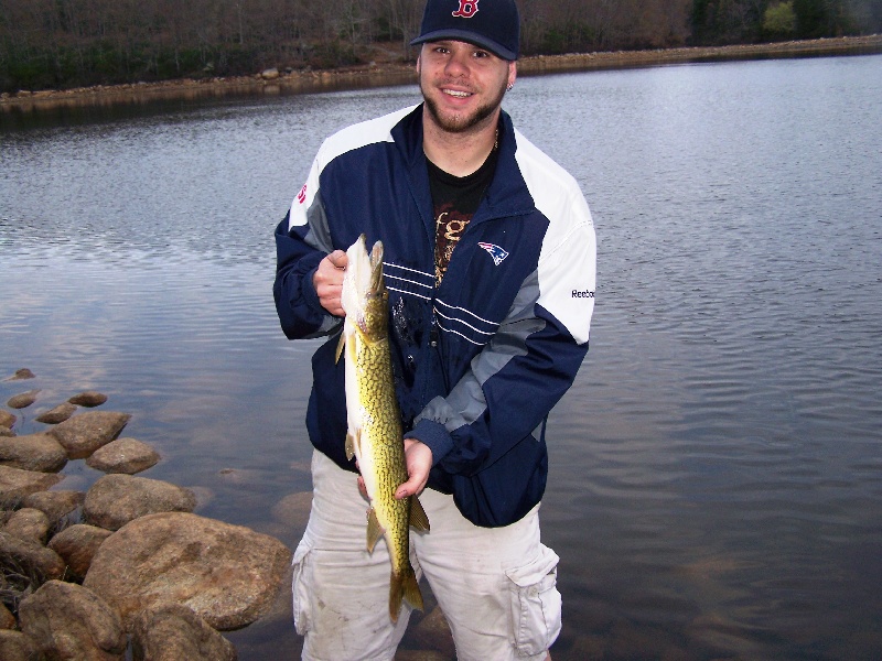 My pickerel! near Hopkinton