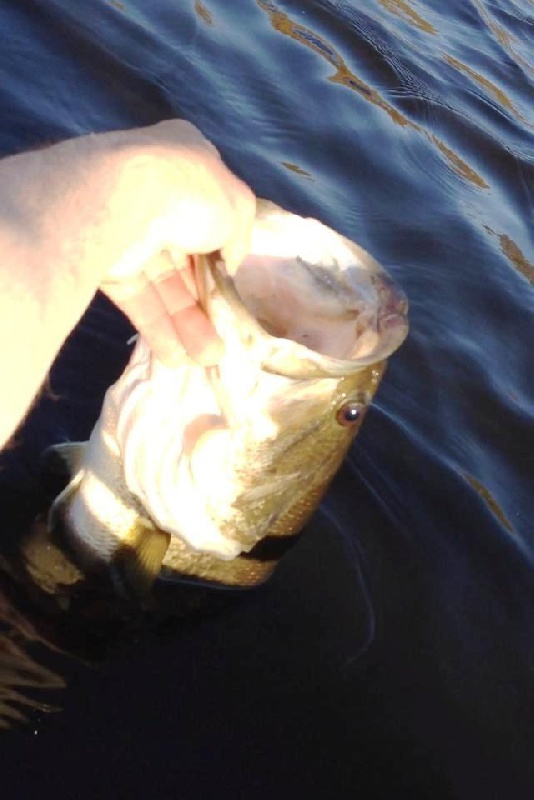 4.5 Pounder Mouth near Little Compton