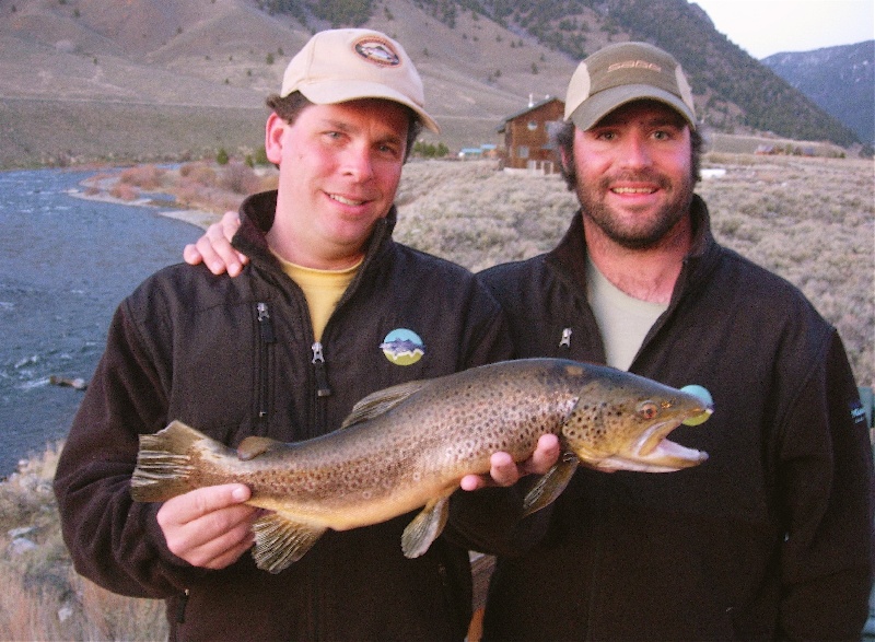 Madison River Brown