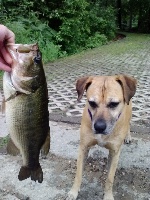 Rainy day Fishing Report