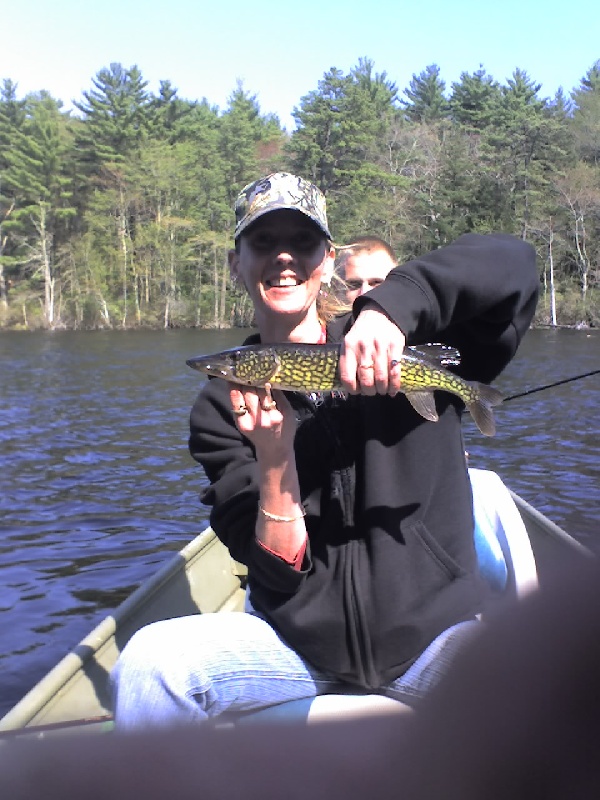 chain pickerel near West Greenwich