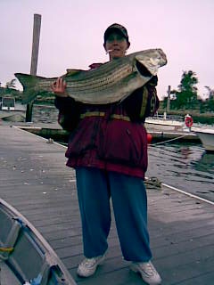 providence harbor near East Providence