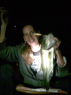 largemouth bass