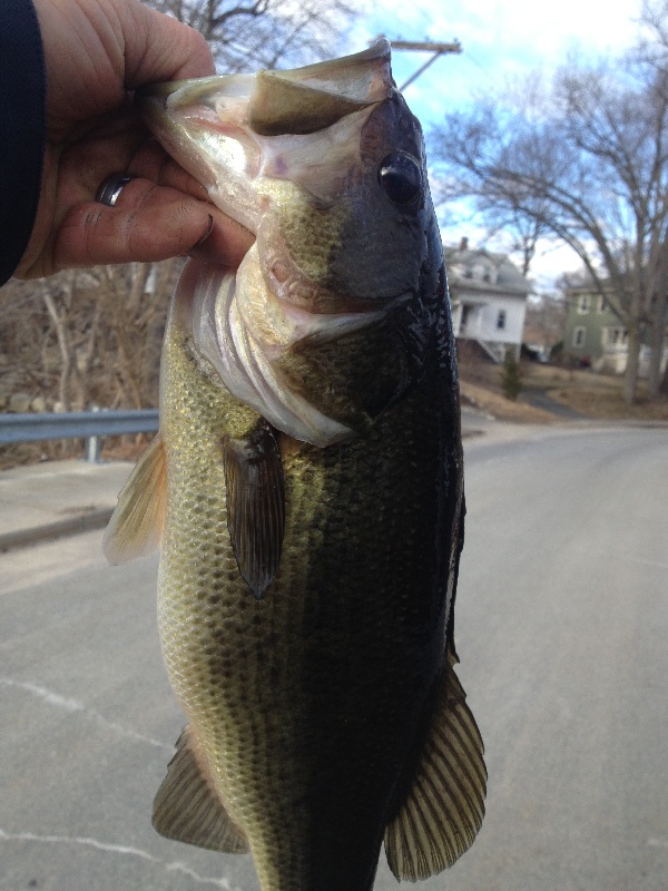 Nice chunk