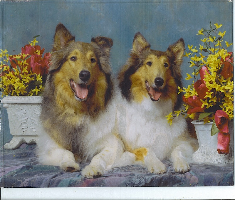 My best pals